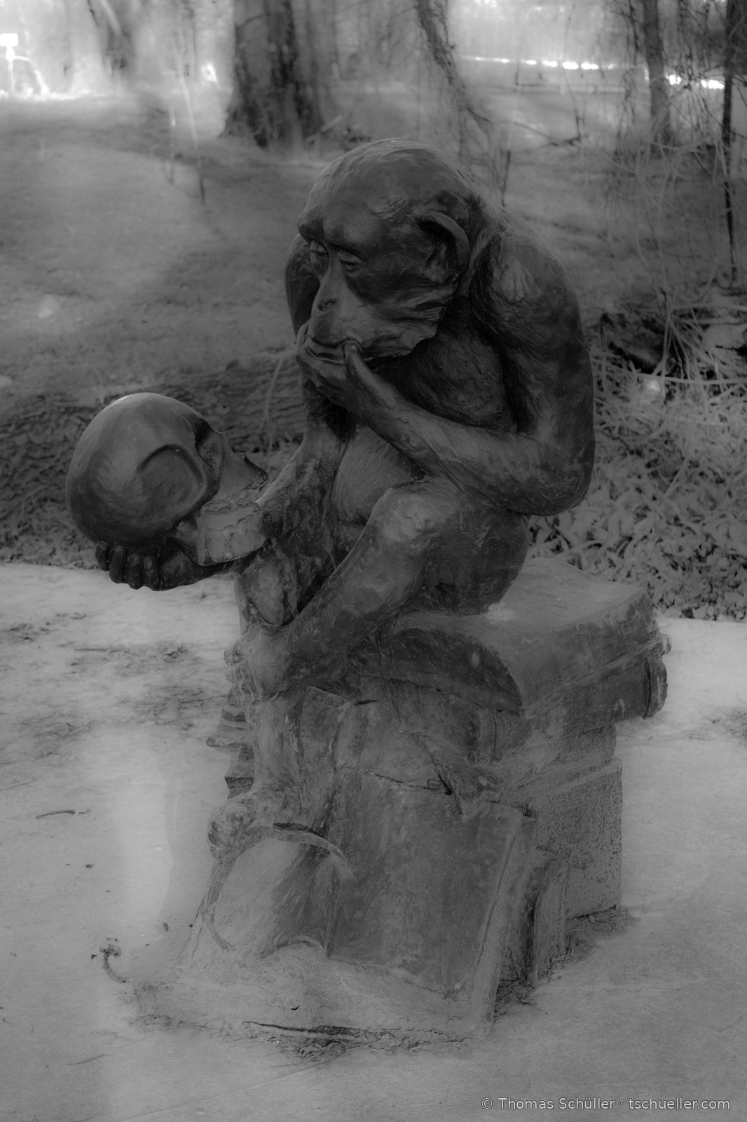 Bronzeskulptur eines Affen, der einen Menschenschädel betrachtet